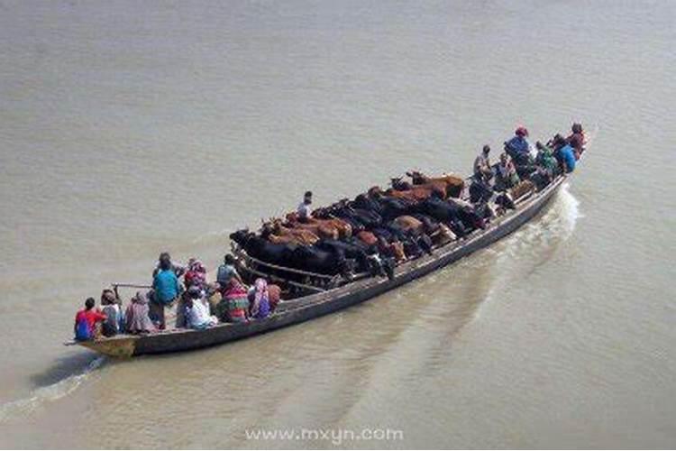 梦见坐船是什么意思？