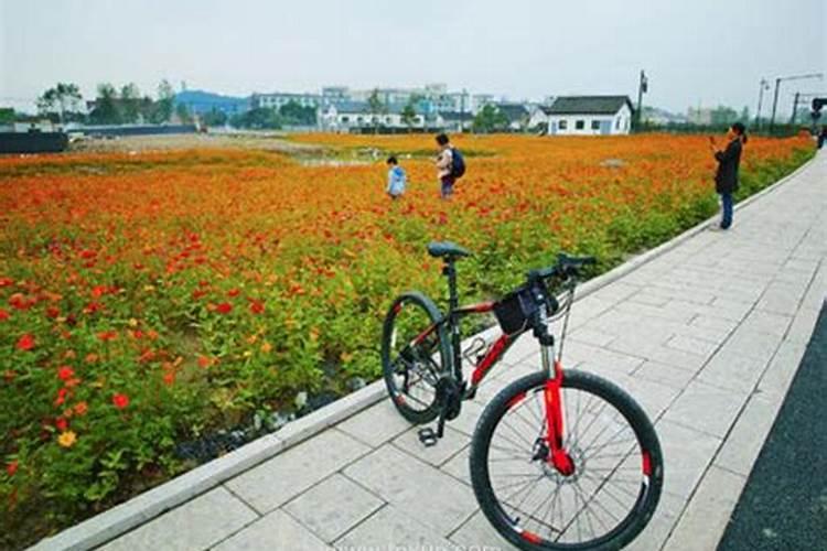 梦见骑车回家路上遇到有人放花炮