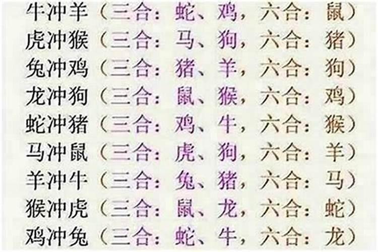 算命姻缘的三合是什么？