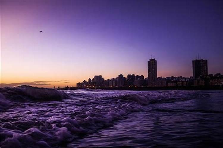 属狗人的出生月运势