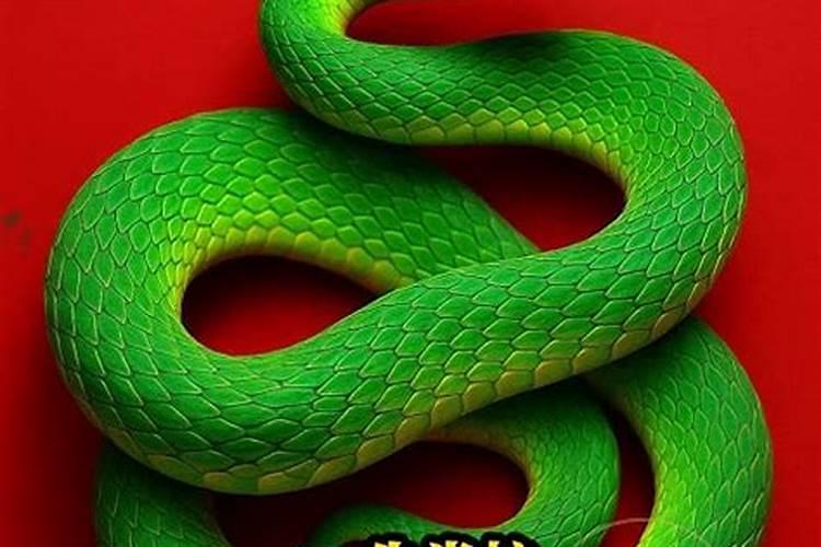 七月十五后生肖运势