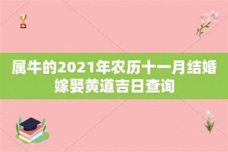 属牛的本命年几月份结婚好？