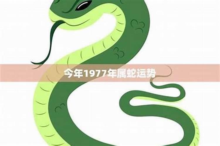 77年蛇人女2026年运势如何？