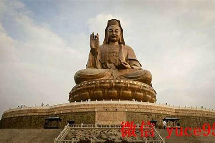 辛集哪里有算命的高人？