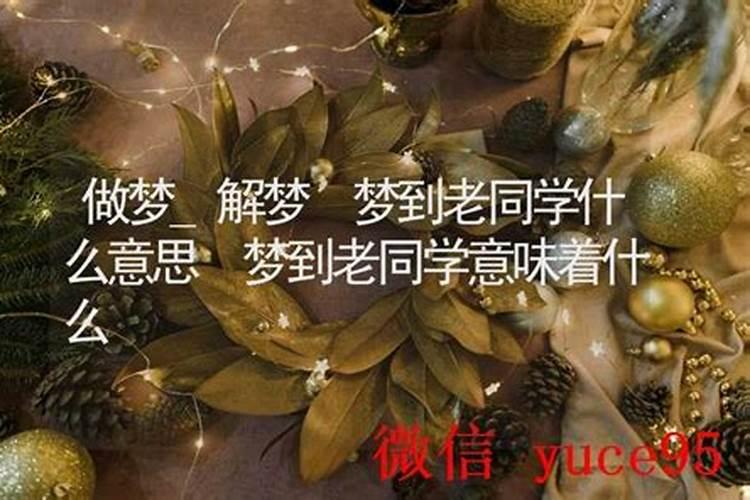 梦到一批老同学到家来找