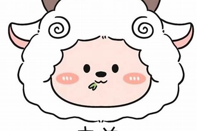 属羊的是否今年犯太岁？