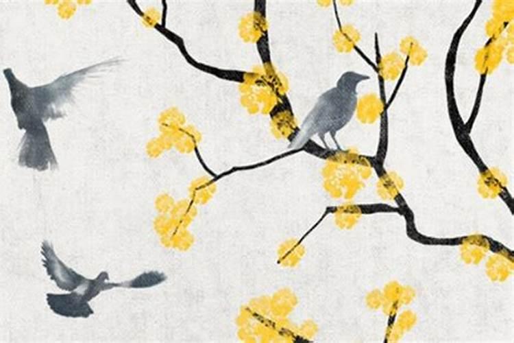 为什么说本命年不要生孩子？