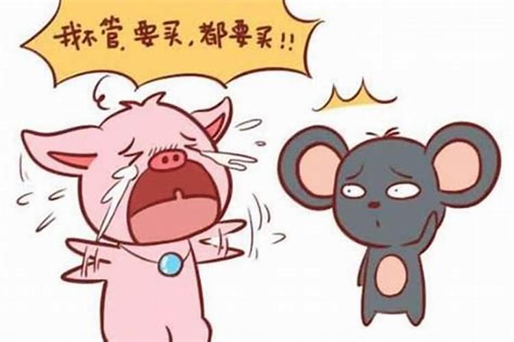 男属猪女属鼠可合婚吗？