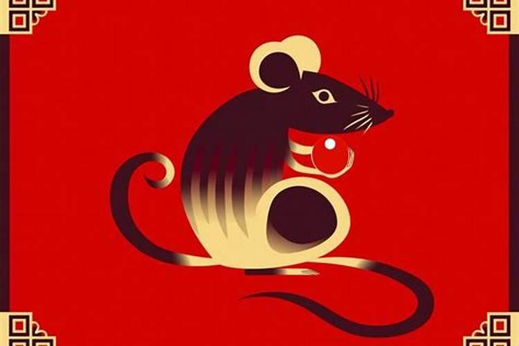 鼠牛婚配后生什么属相最好？