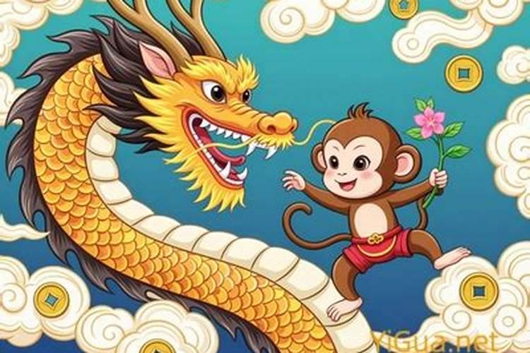 属龙与属猴八字合吗？