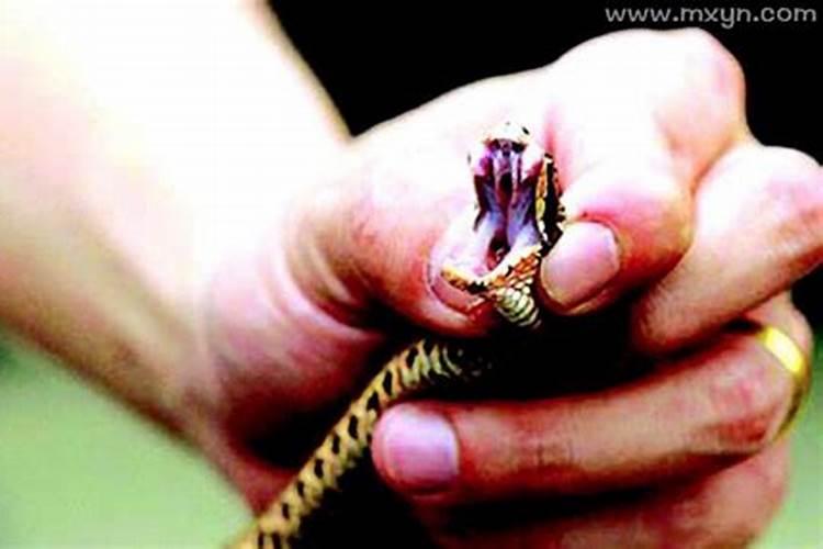 孕妇做梦梦到被蛇咬是什么意思？