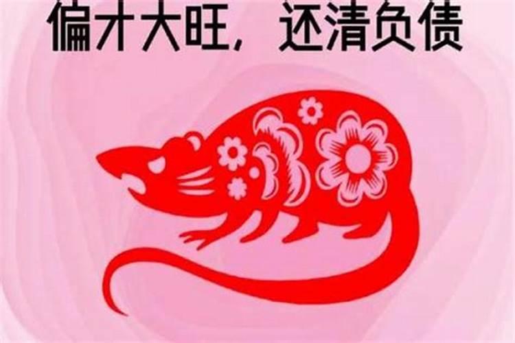 96年属鼠女2026年运势如何？