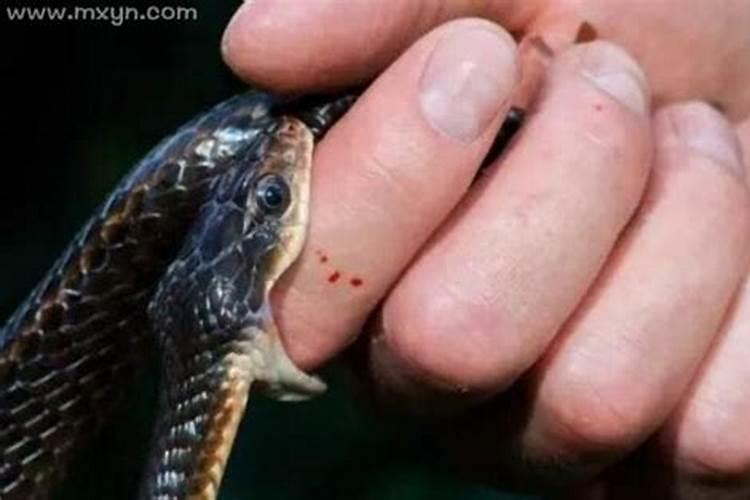 梦见被蛇咬了并且出血了