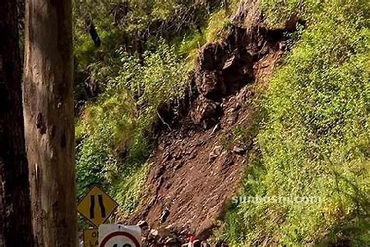 梦见舅舅来我家睡觉