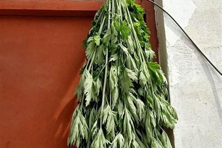 端午节艾草一般挂在哪里？