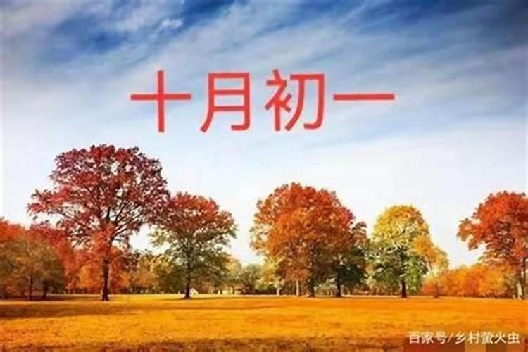 阴历十月初一出生的女命