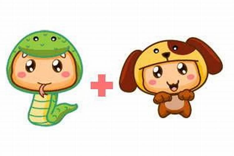 狗和蛇的八字合不合