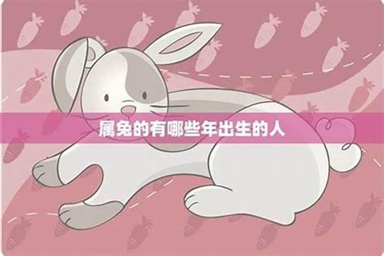 2026属兔人的全年运势如何？