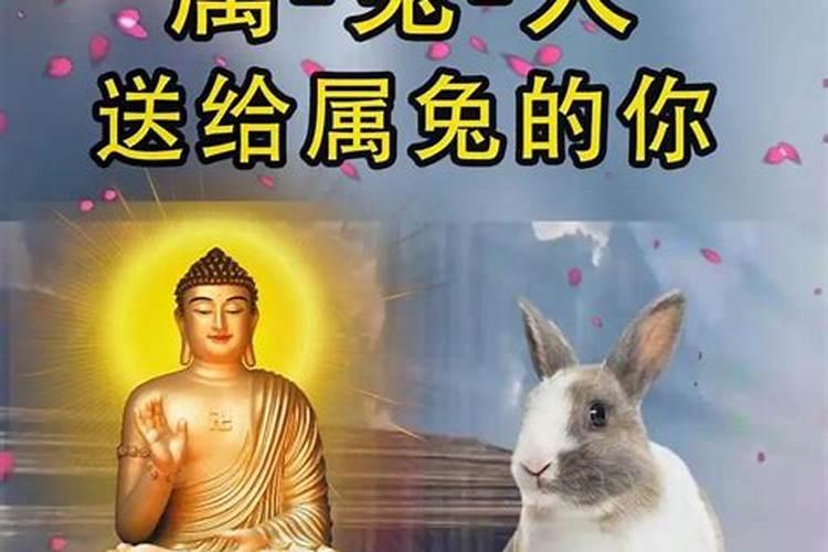 87年属兔女今年婚姻感情运势