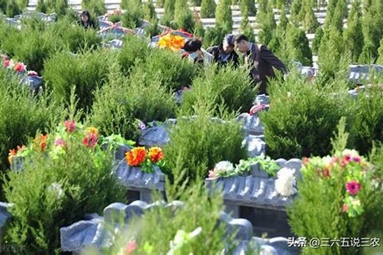 十月初一祭祖的禁忌是啥？