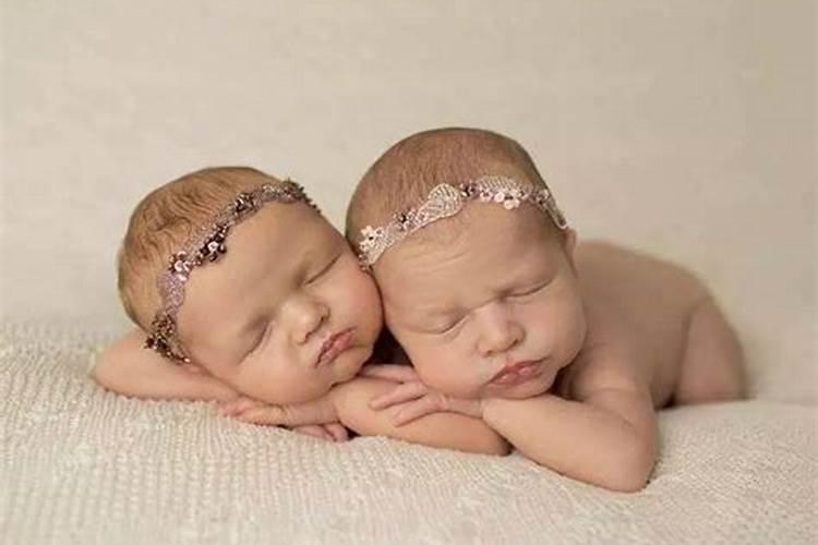 2026年狗宝宝出生的运势