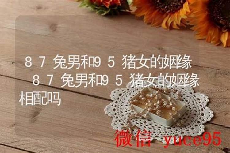 87年兔和95猪合婚吗？