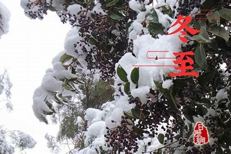 冬至大概在农历的什么时候？