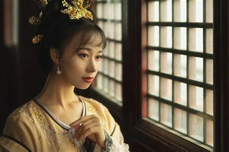 今年属猪运势郑博士