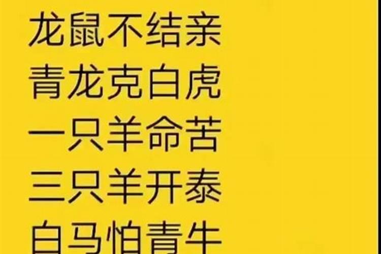 梦到死去的亲人活过来了周公解梦