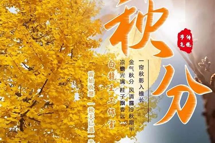 秋分有好运生肖