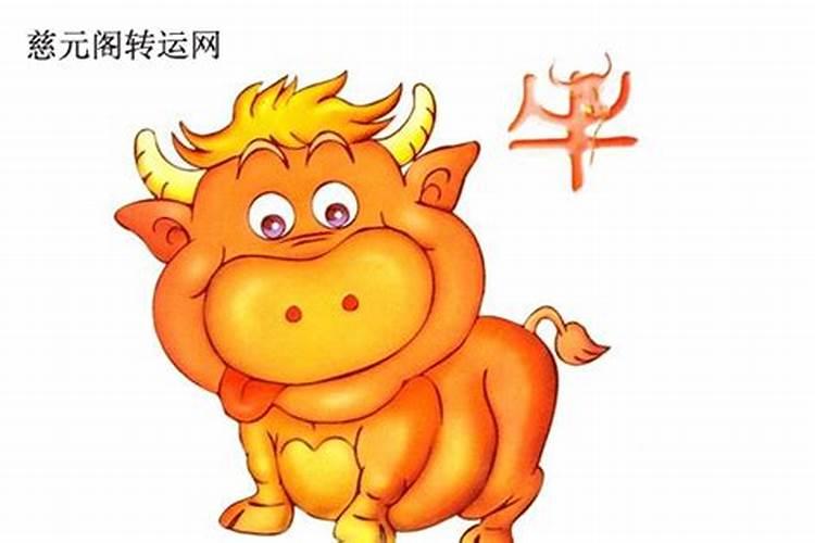 属牛1949年出生运程