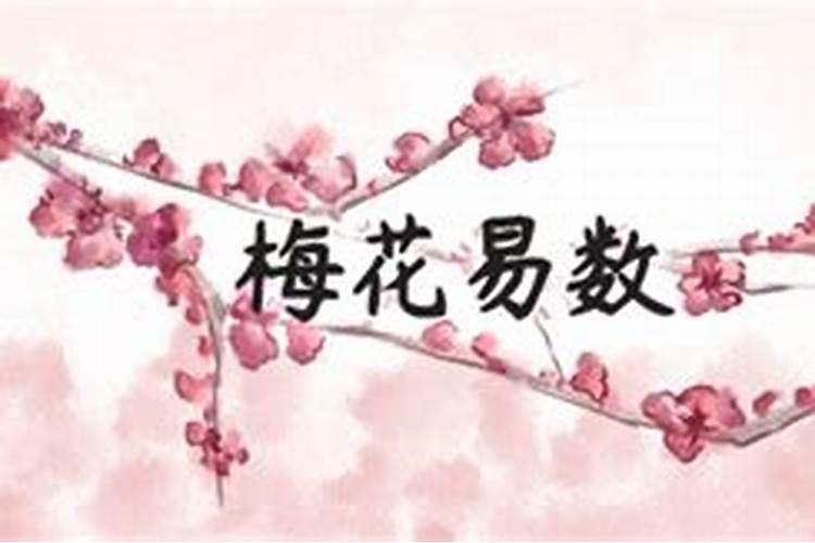 梅花易数占卜姻缘