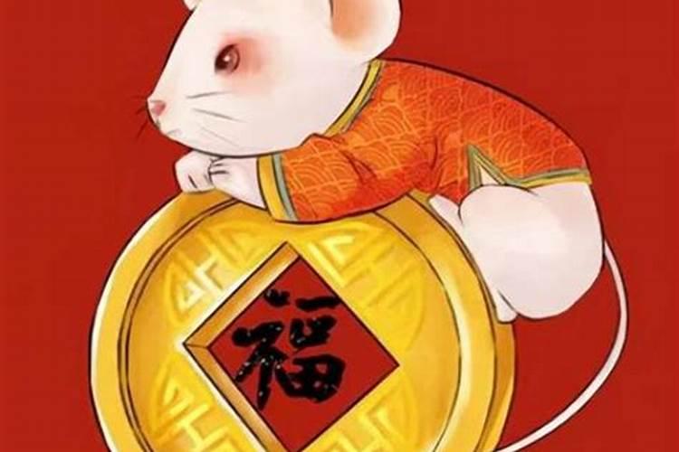 属鼠下半年的运势有喜