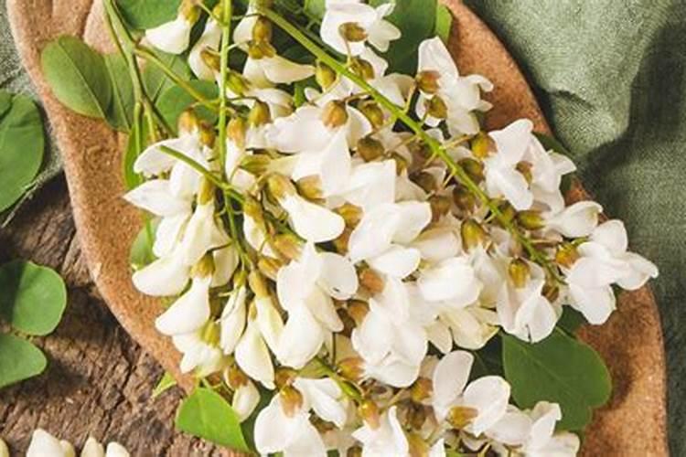 梦见树上开了好多槐花？