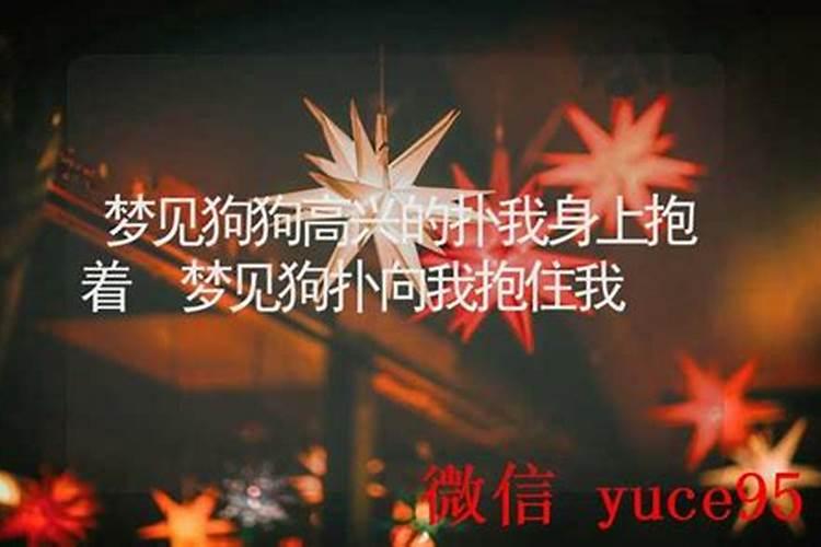 梦见狗狗高兴的扑我身上