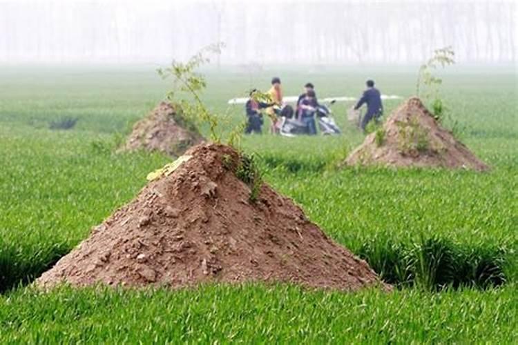 清明节守坟头好吗？