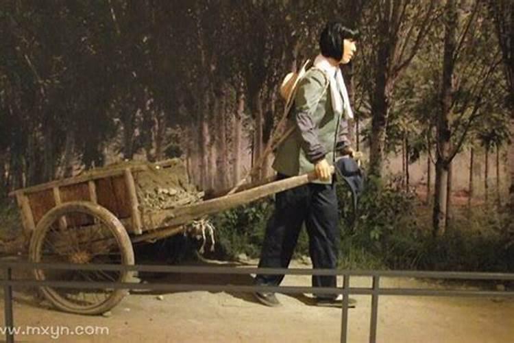 梦见牛拉车是什么预兆？