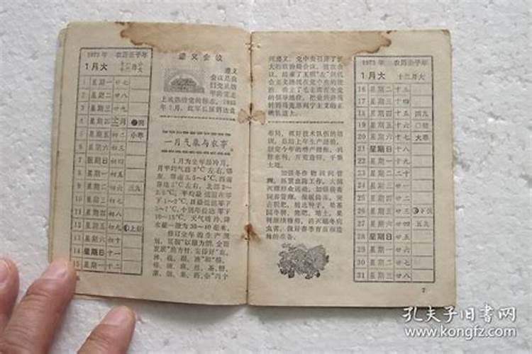 73年阴历十一月十七出生人的运程