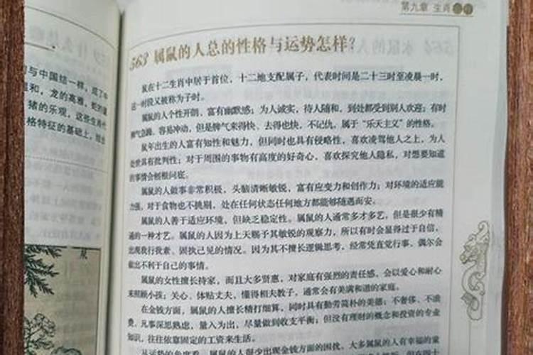 女鼠男羊合婚好吗？