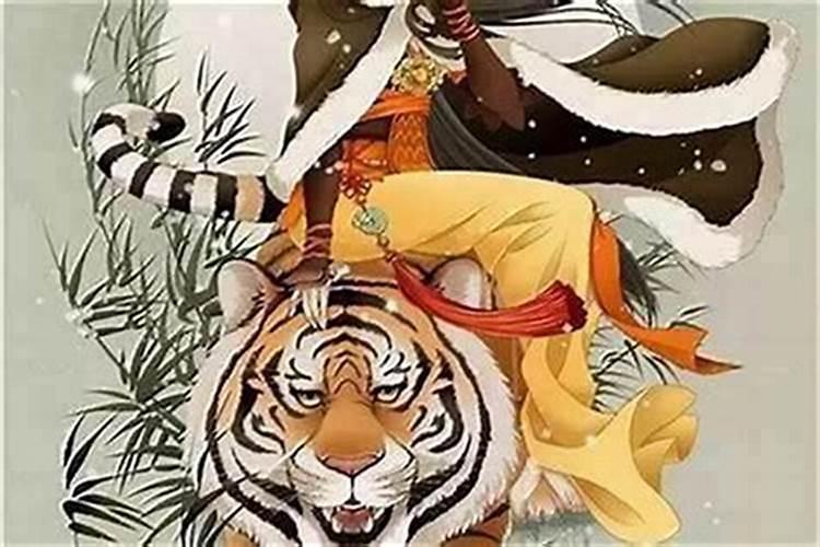 属虎的今年犯太岁怎么解？