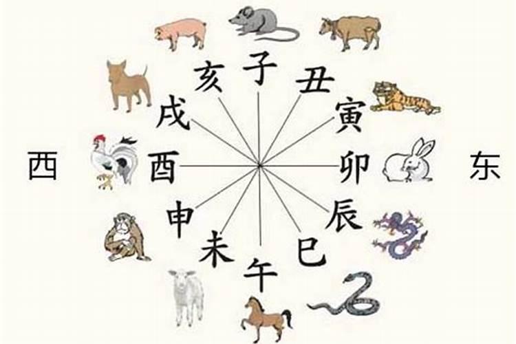 马鼠六冲合婚是什么意思？