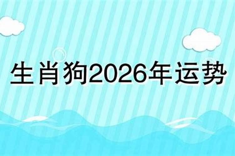 肖狗的2026年运程