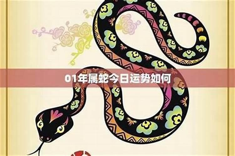 属蛇今年逐月运势如何？