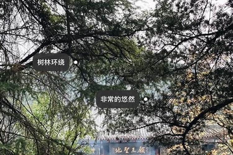 成都石经寺有没有超度婴灵？