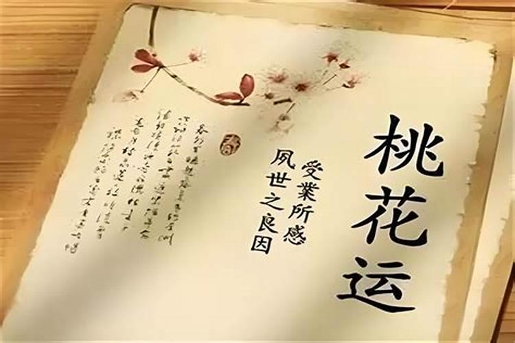 八字专业用语是什么意思？