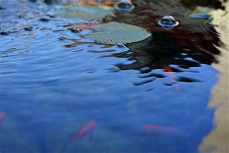 梦见水渠里的水满满的流