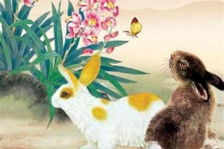 男属兔和哪个属相最不婚配？