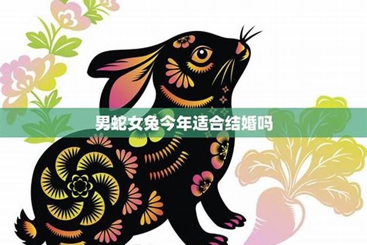 男蛇女兔合婚吗？