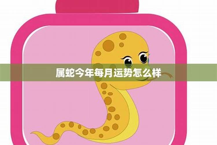 蛇今年的3月运势怎么样？