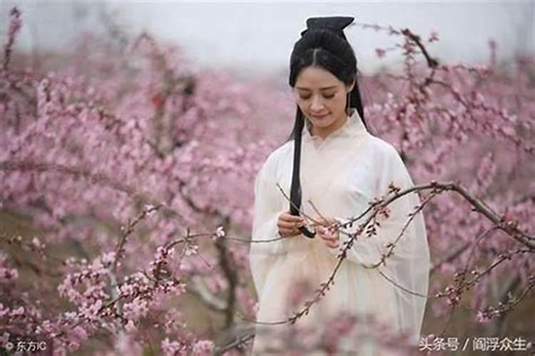 八月十五过后桃花运好吗？